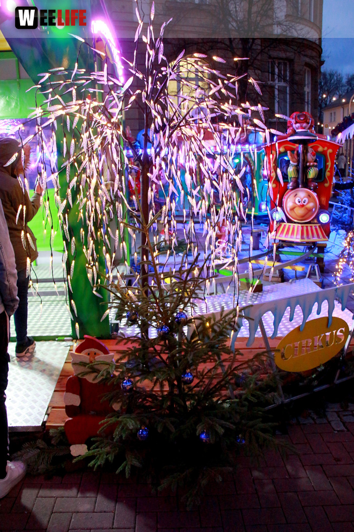 Hofer Weihnachtsmarkt 29.11.19