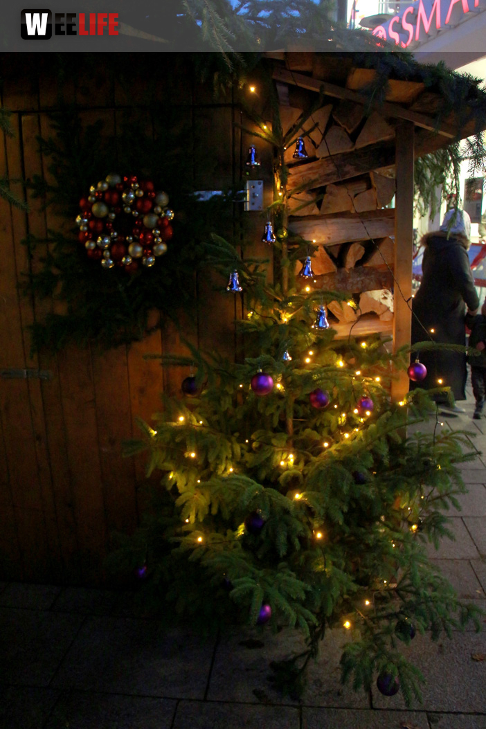 Hofer Weihnachtsmarkt 29.11.19