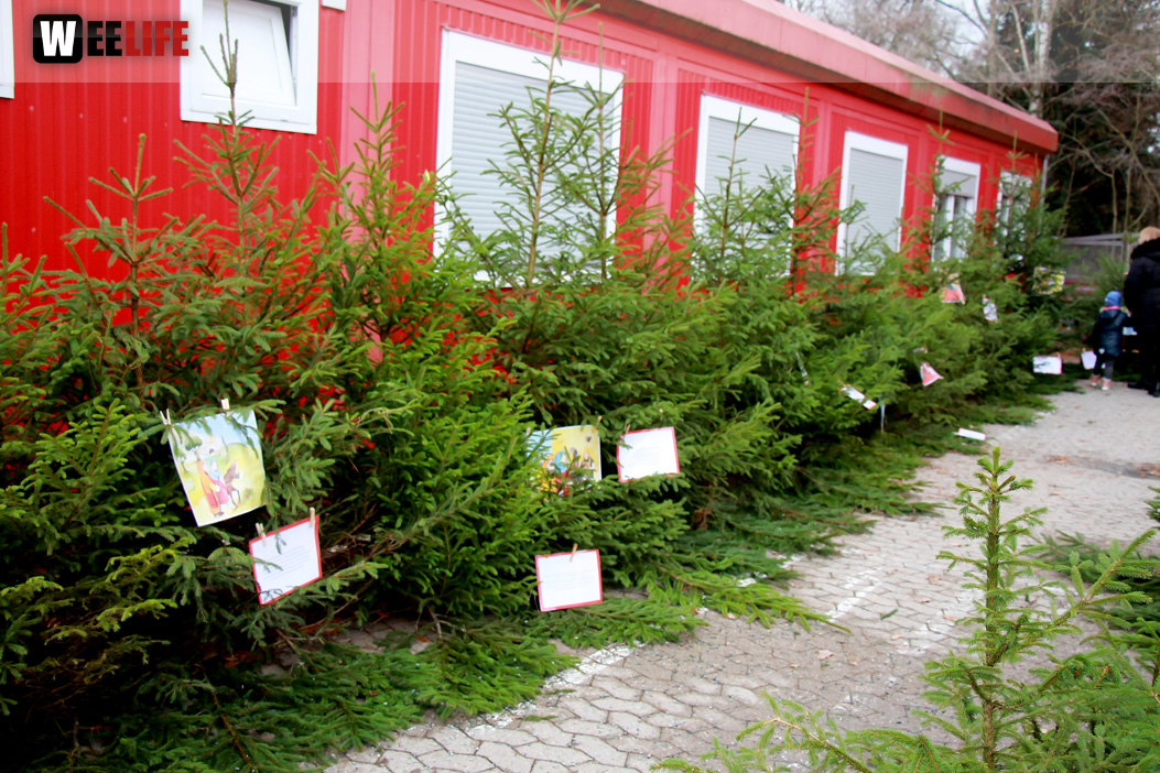 Adventsdorf TPZ 2019
