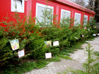 Foto 237214 im Album