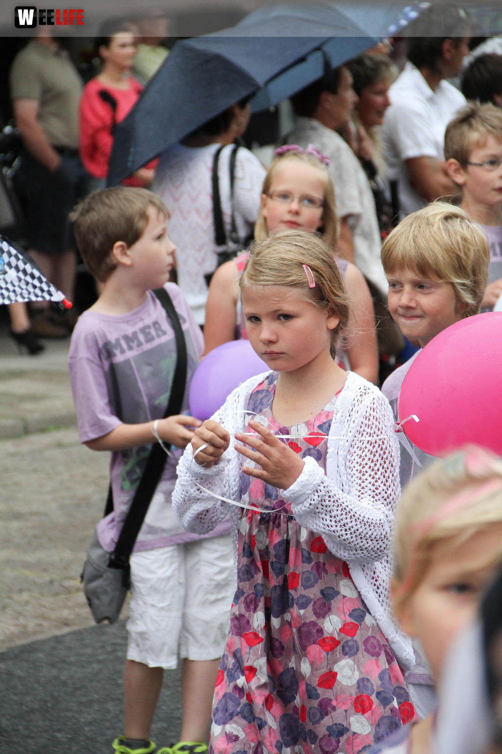 Selber Heimat- und Wiesenfest