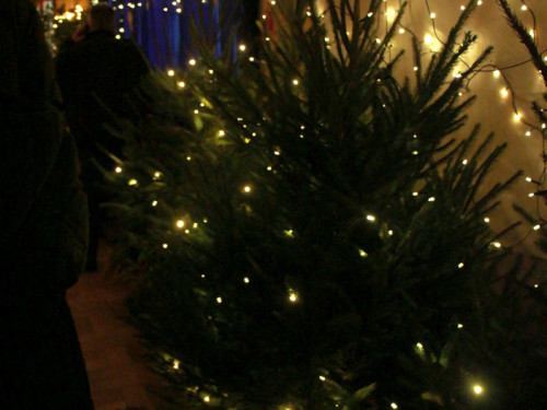 Adventsdorf TPZ 2019 – Foto 95