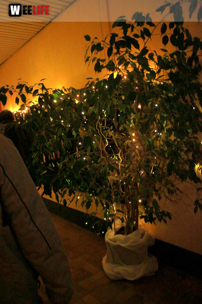 Adventsdorf TPZ 2019