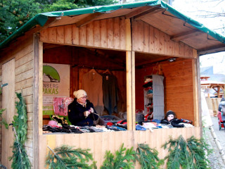 Foto 237326 im Album