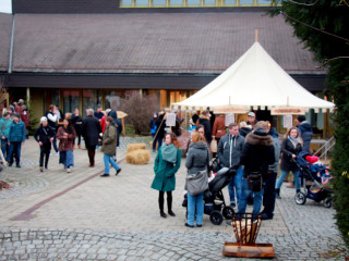 Foto 237336 im Album