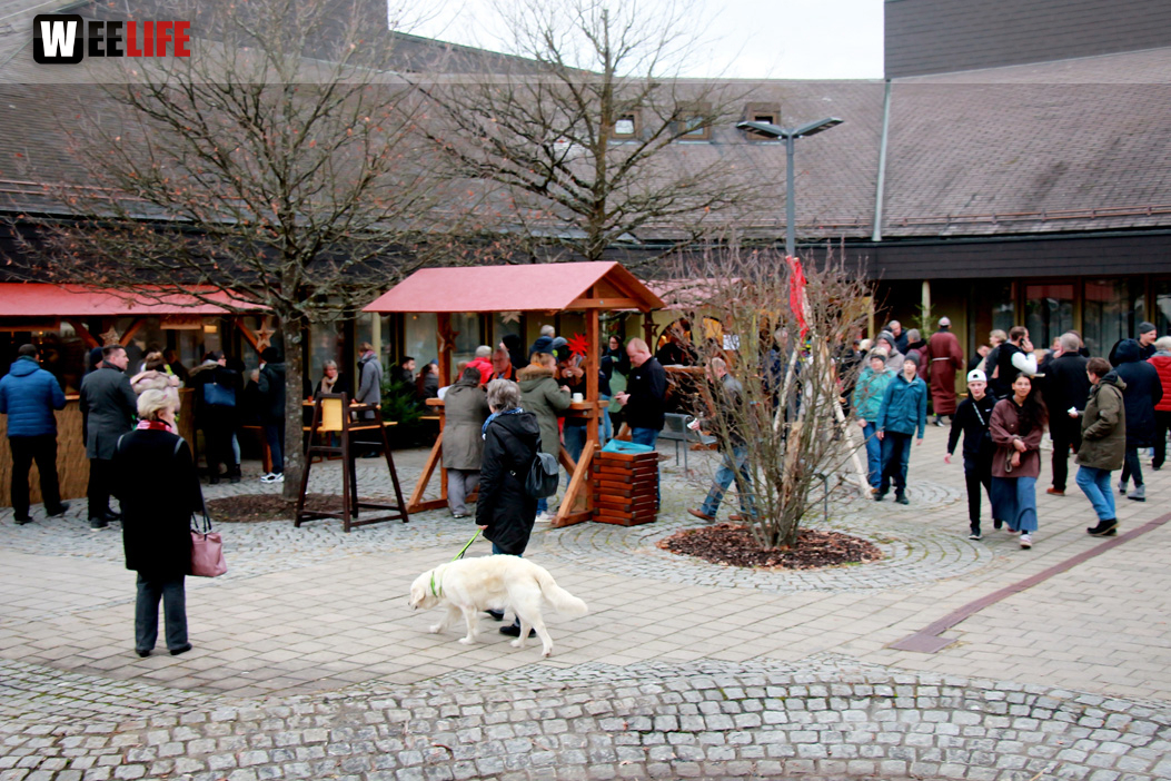 Mittelalterlicher Weihnachtsmarkt am Campus 2019 Samstag