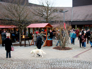 Foto 237337 im Album