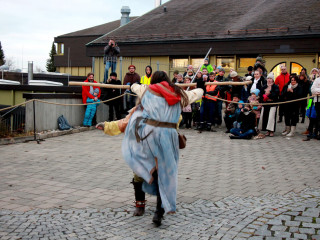 Foto 237385 im Album
