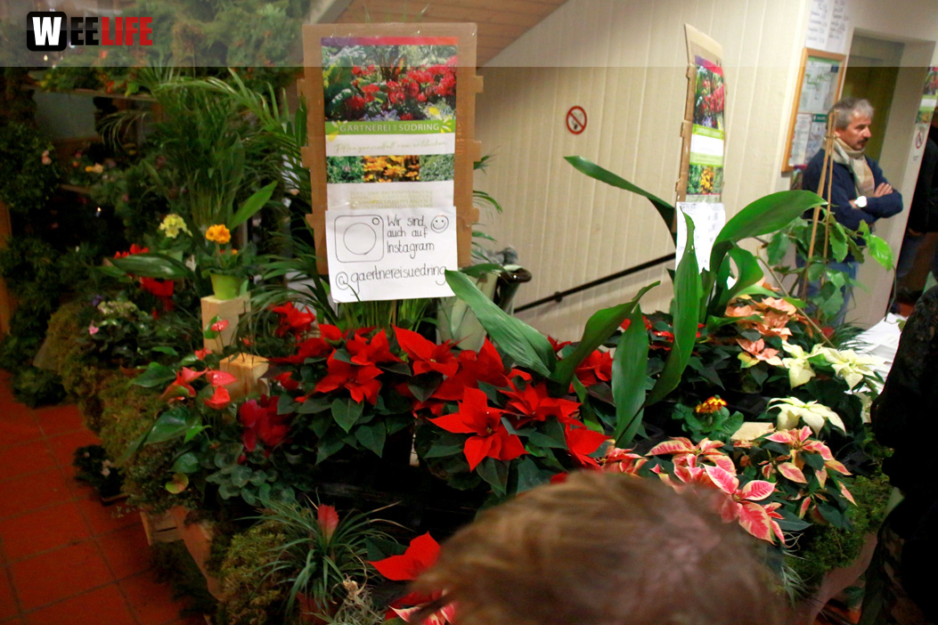 Mittelalterlicher Weihnachtsmarkt am Campus 2019 Samstag