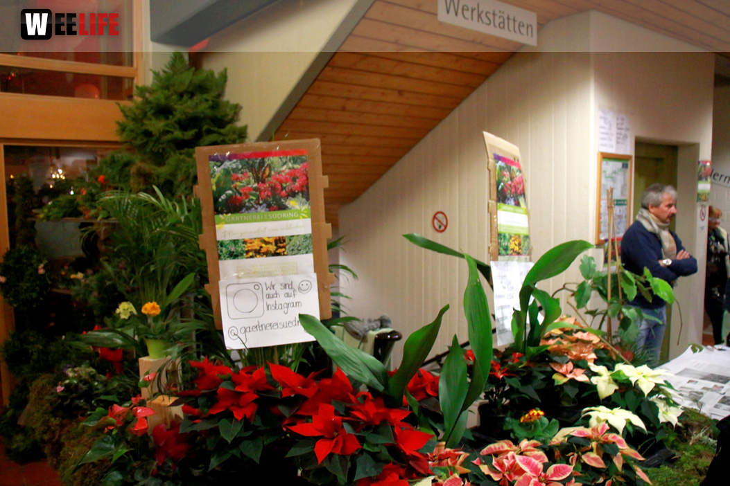 Mittelalterlicher Weihnachtsmarkt am Campus 2019 Samstag