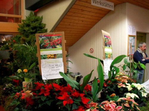 Mittelalterlicher Weihnachtsmarkt am Campus 2019 Samstag – Foto 104