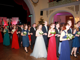 Foto 237576 im Album