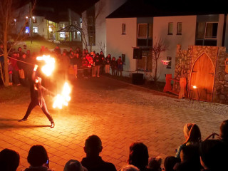 Foto 237842 im Album