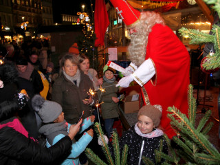 Foto 238115 im Album