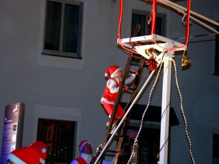 Foto 238774 im Album