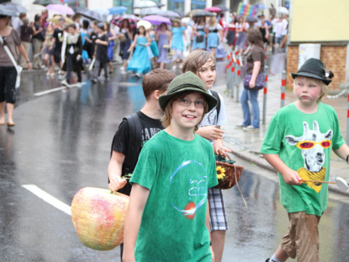 Selber Heimat- und Wiesenfest – Foto 301