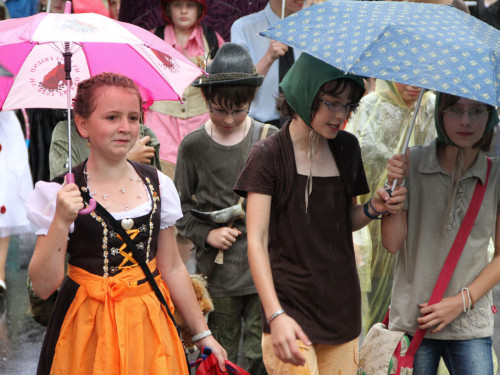 Selber Heimat- und Wiesenfest – Foto 303