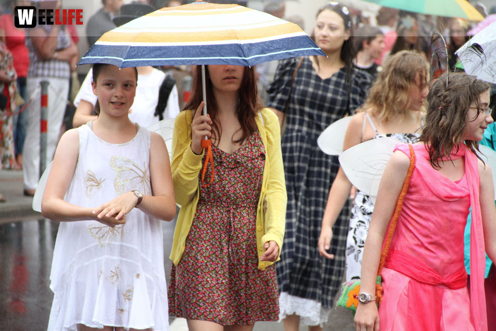Selber Heimat- und Wiesenfest
