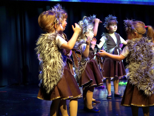 Gala 40 Jahre Soul-City-Dancers by the Arts Samstag 1.2.2019 – Foto 33