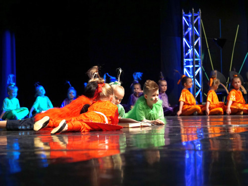 Gala 40 Jahre Soul-City-Dancers by the Arts Samstag 1.2.2019 – Foto 47