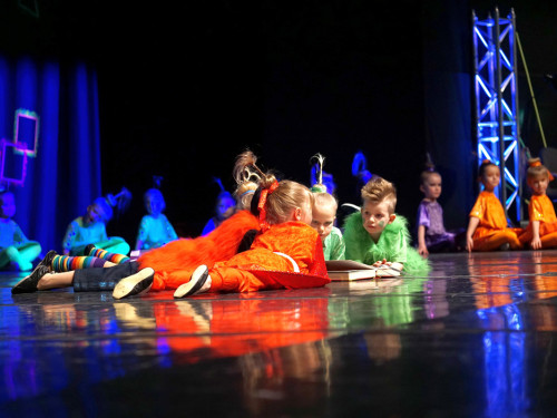 Gala 40 Jahre Soul-City-Dancers by the Arts Samstag 1.2.2019 – Foto 48