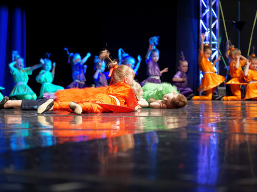 Gala 40 Jahre Soul-City-Dancers by the Arts Samstag 1.2.2019 – Foto 50