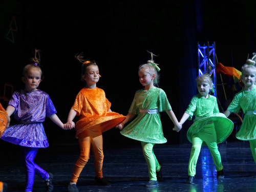 Gala 40 Jahre Soul-City-Dancers by the Arts Samstag 1.2.2019 – Foto 54