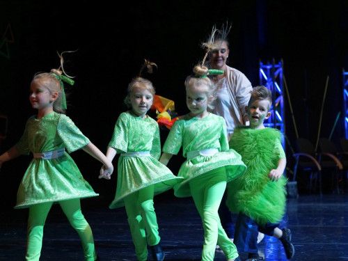 Gala 40 Jahre Soul-City-Dancers by the Arts Samstag 1.2.2019 – Foto 55