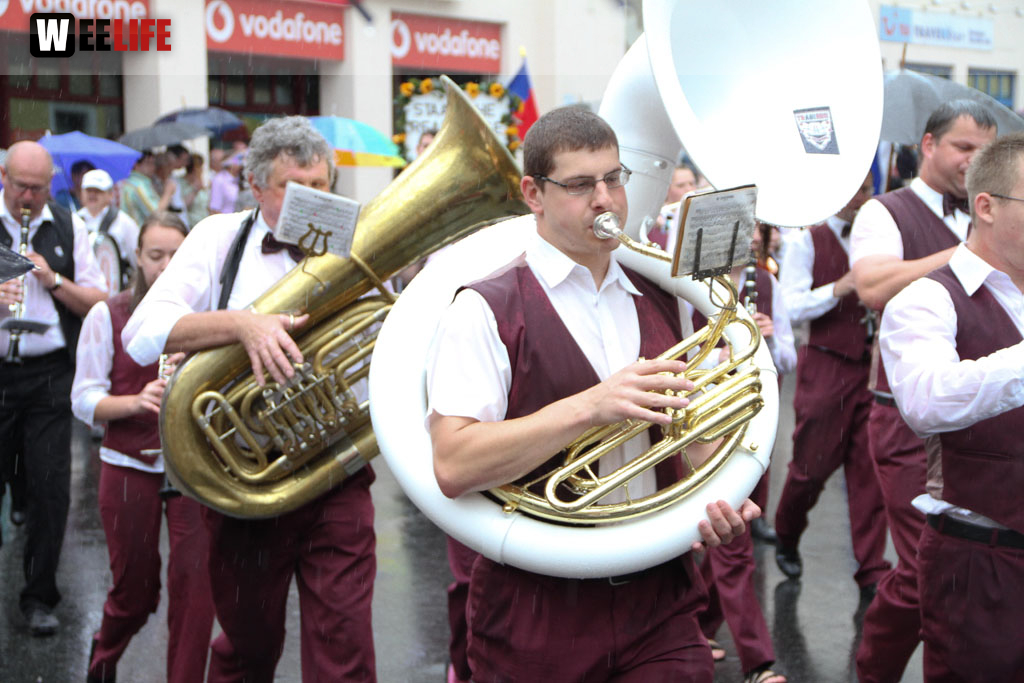 Selber Heimat- und Wiesenfest