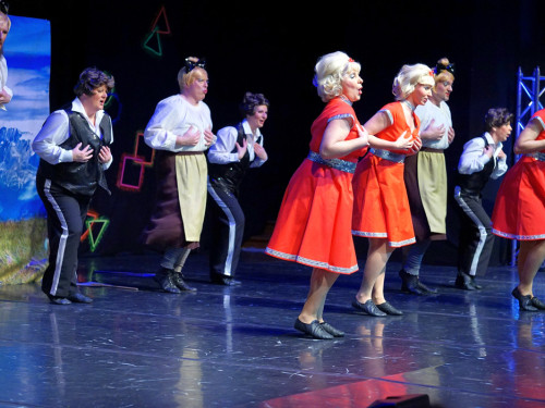 Gala 40 Jahre Soul-City-Dancers by the Arts Samstag 1.2.2019 – Foto 44