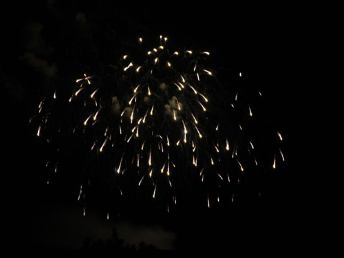 Selber Heimat- und Wiesenfest – Foto 387