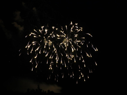 Selber Heimat- und Wiesenfest – Foto 388