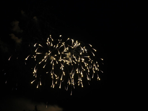 Selber Heimat- und Wiesenfest – Foto 389