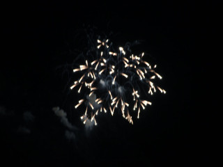 Foto 23997 im Album