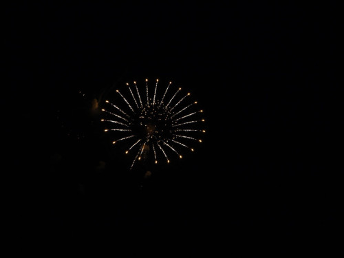 Selber Heimat- und Wiesenfest – Foto 392