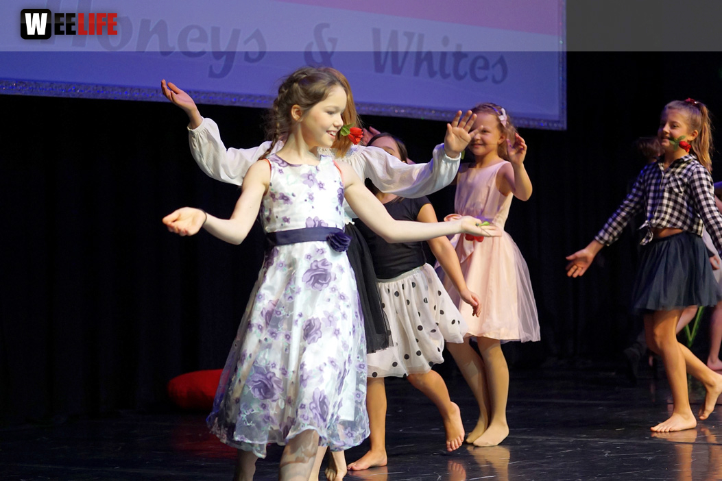 Gala 40 Jahre Soul-City-Dancers by the Arts Sonntag 2.2.2019