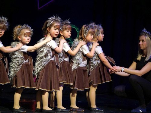 Gala 40 Jahre Soul-City-Dancers by the Arts Sonntag 2.2.2019 – Foto 36