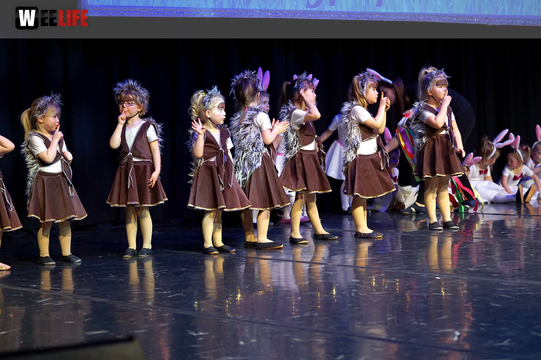 Gala 40 Jahre Soul-City-Dancers by the Arts Sonntag 2.2.2019
