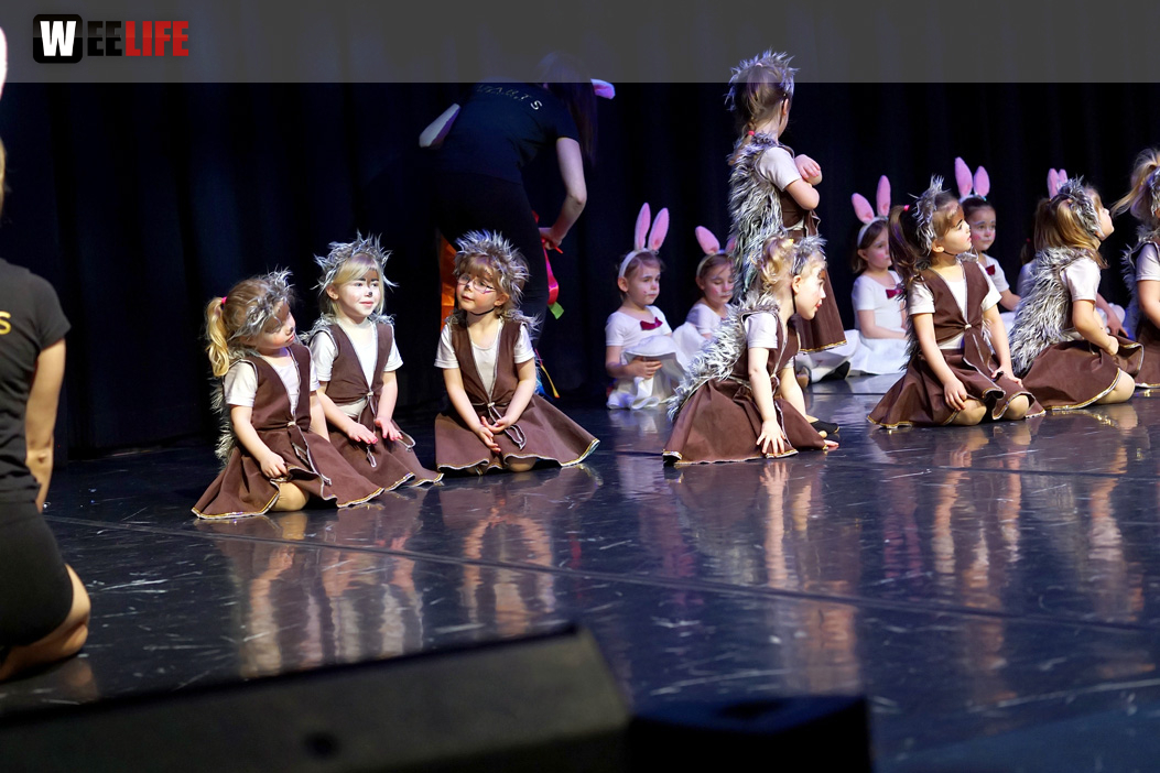 Gala 40 Jahre Soul-City-Dancers by the Arts Sonntag 2.2.2019