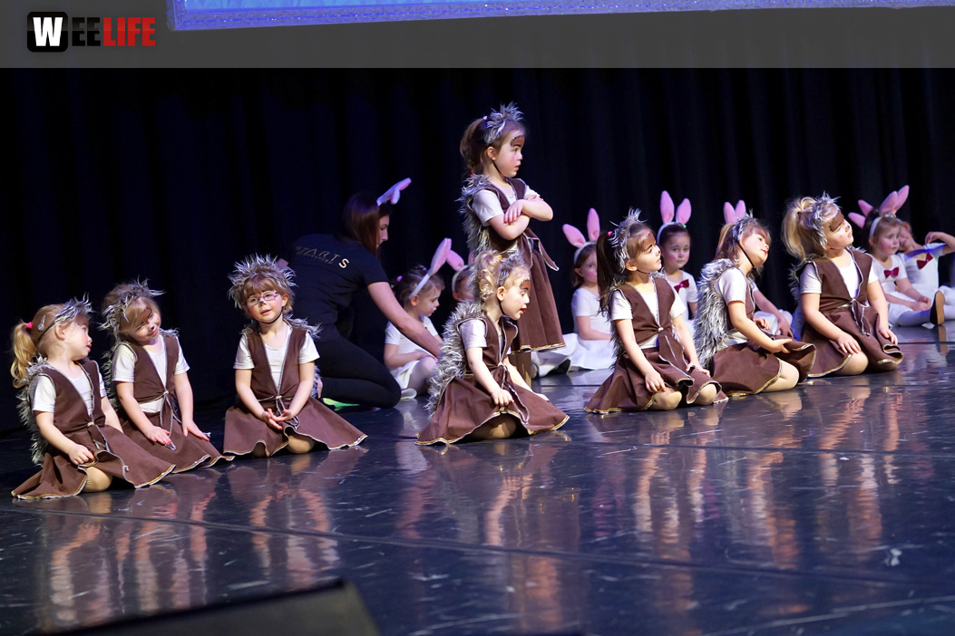 Gala 40 Jahre Soul-City-Dancers by the Arts Sonntag 2.2.2019