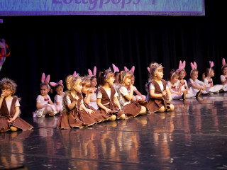 Foto 240013 im Album