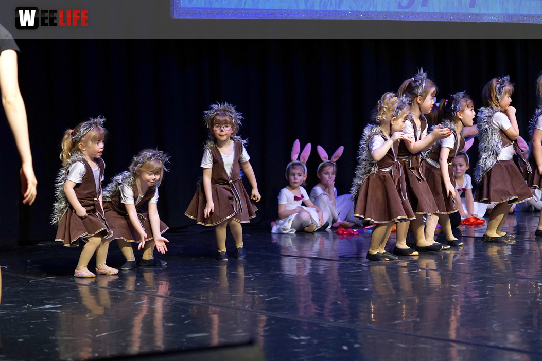Gala 40 Jahre Soul-City-Dancers by the Arts Sonntag 2.2.2019