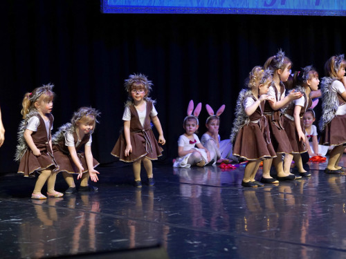 Gala 40 Jahre Soul-City-Dancers by the Arts Sonntag 2.2.2019 – Foto 42