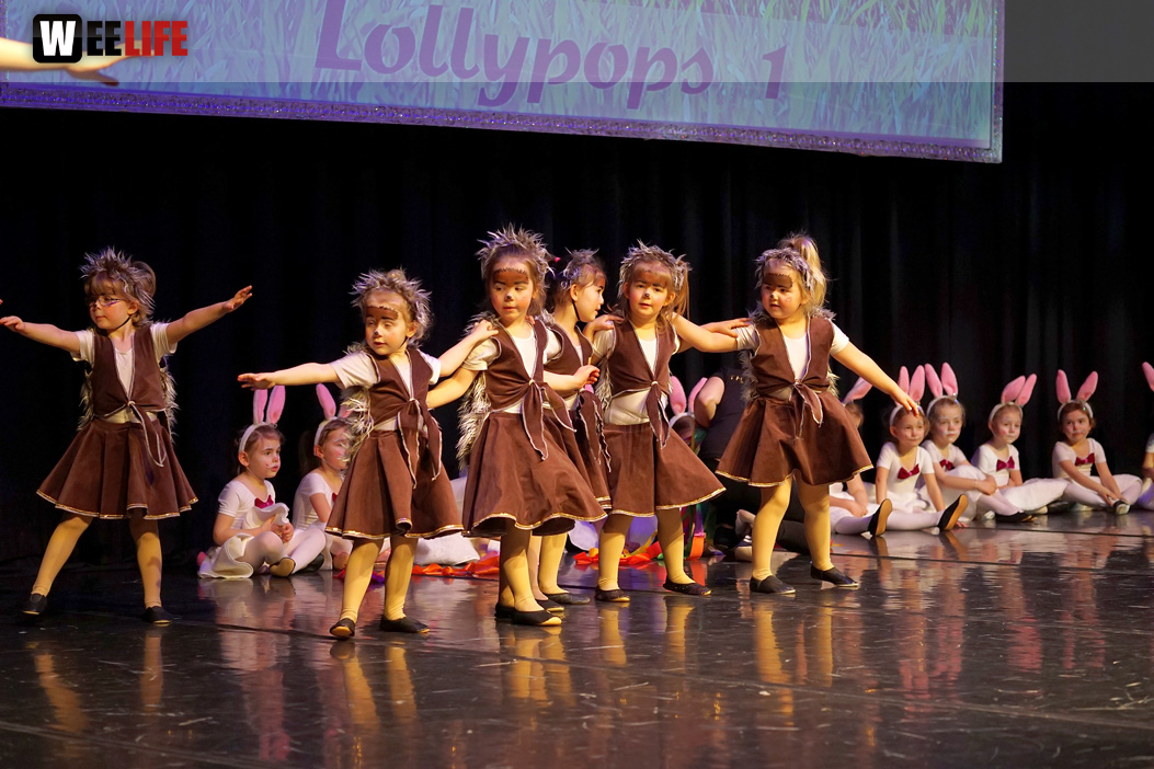 Gala 40 Jahre Soul-City-Dancers by the Arts Sonntag 2.2.2019