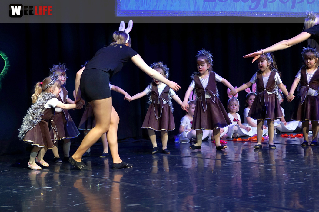 Gala 40 Jahre Soul-City-Dancers by the Arts Sonntag 2.2.2019