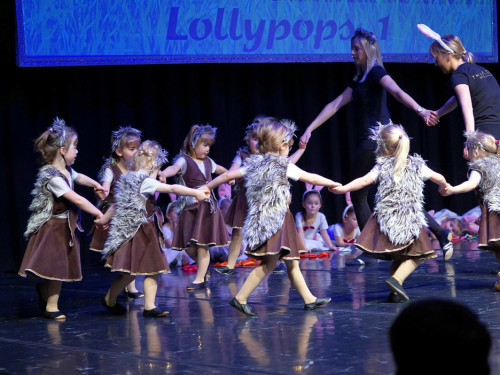 Gala 40 Jahre Soul-City-Dancers by the Arts Sonntag 2.2.2019 – Foto 48