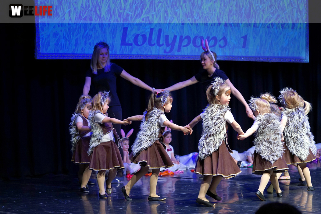 Gala 40 Jahre Soul-City-Dancers by the Arts Sonntag 2.2.2019