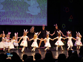 Foto 240027 im Album
