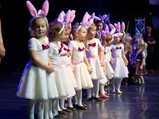 Foto 240032 im Album