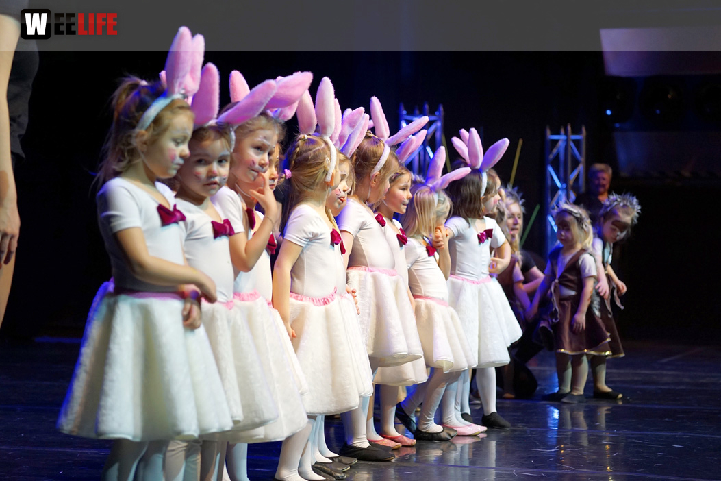 Gala 40 Jahre Soul-City-Dancers by the Arts Sonntag 2.2.2019